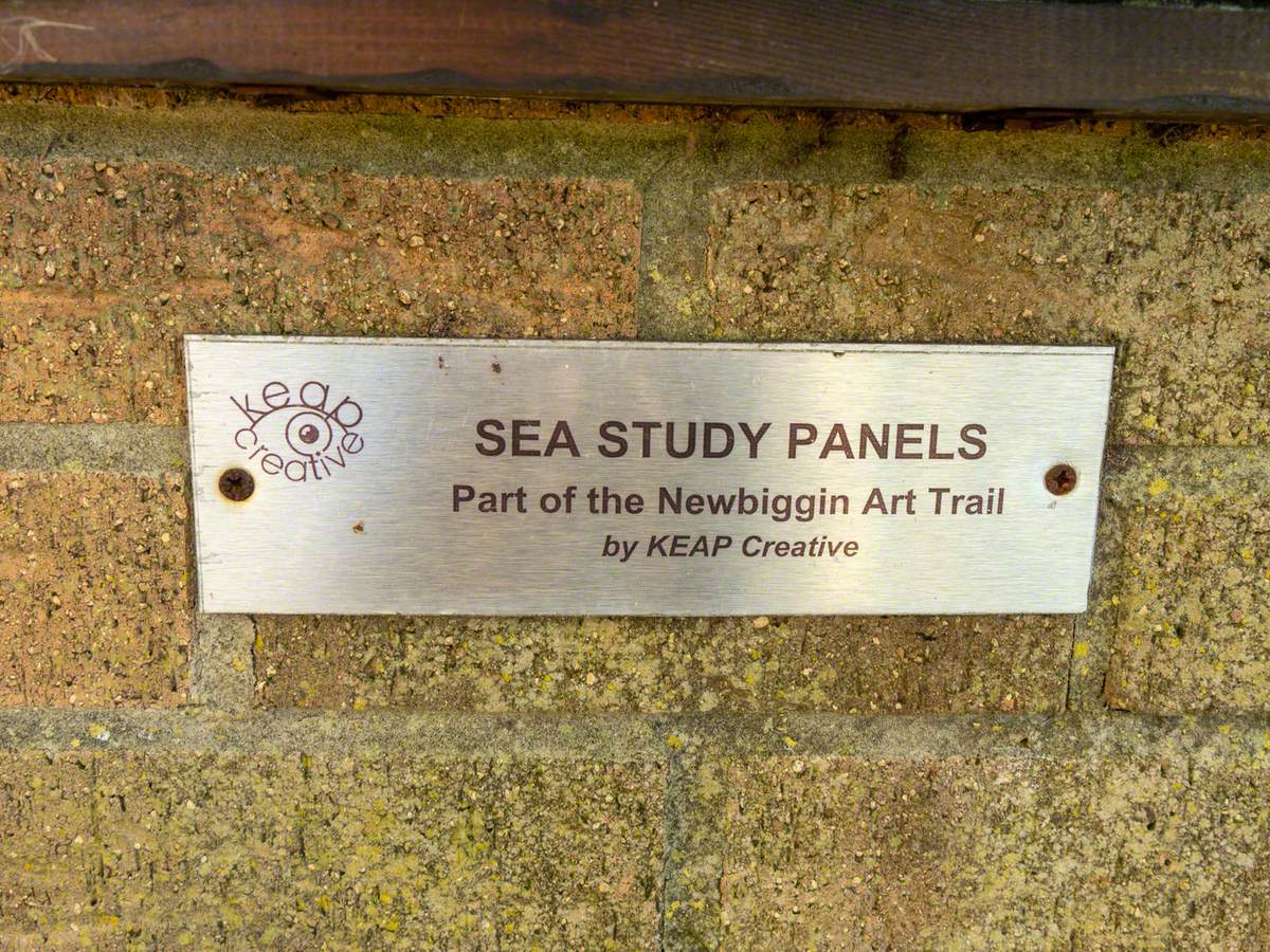 Sea Study Panels 2