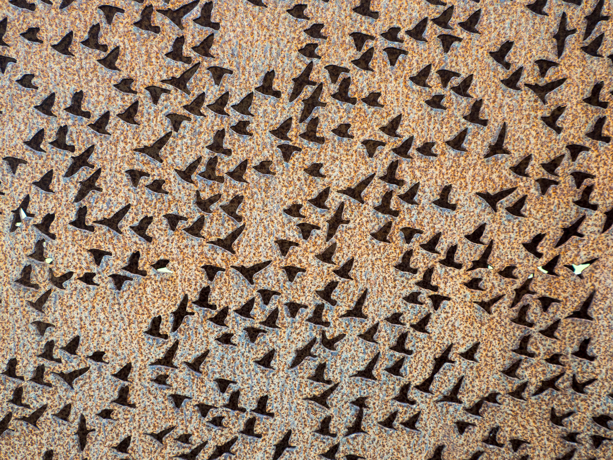 Murmuration