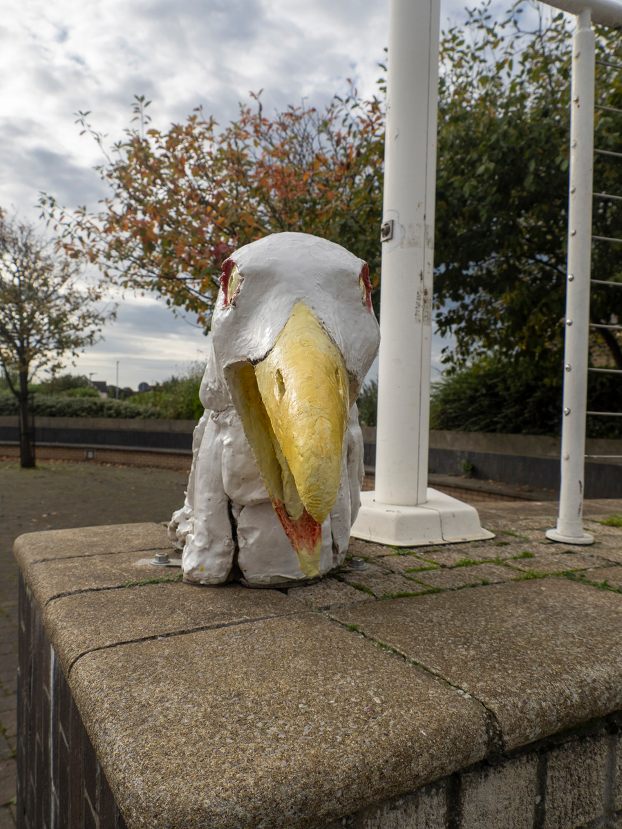 Bird Heads