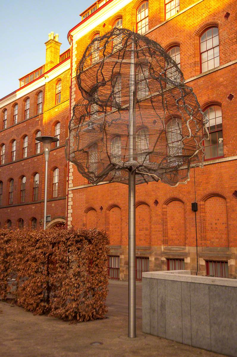 Lace Market Trees