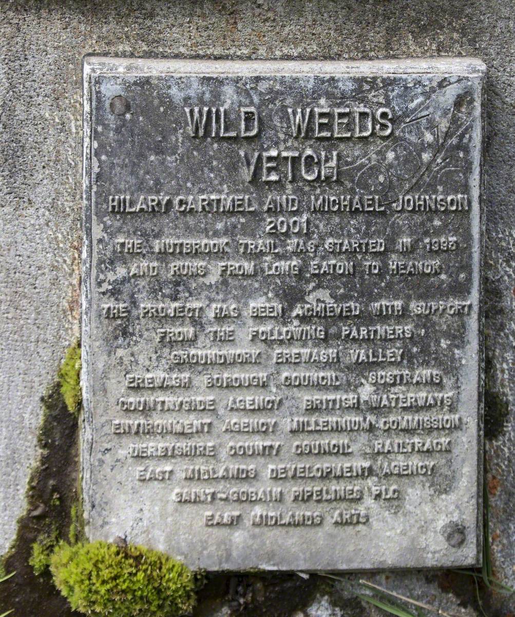 Wild Weeds Vetch