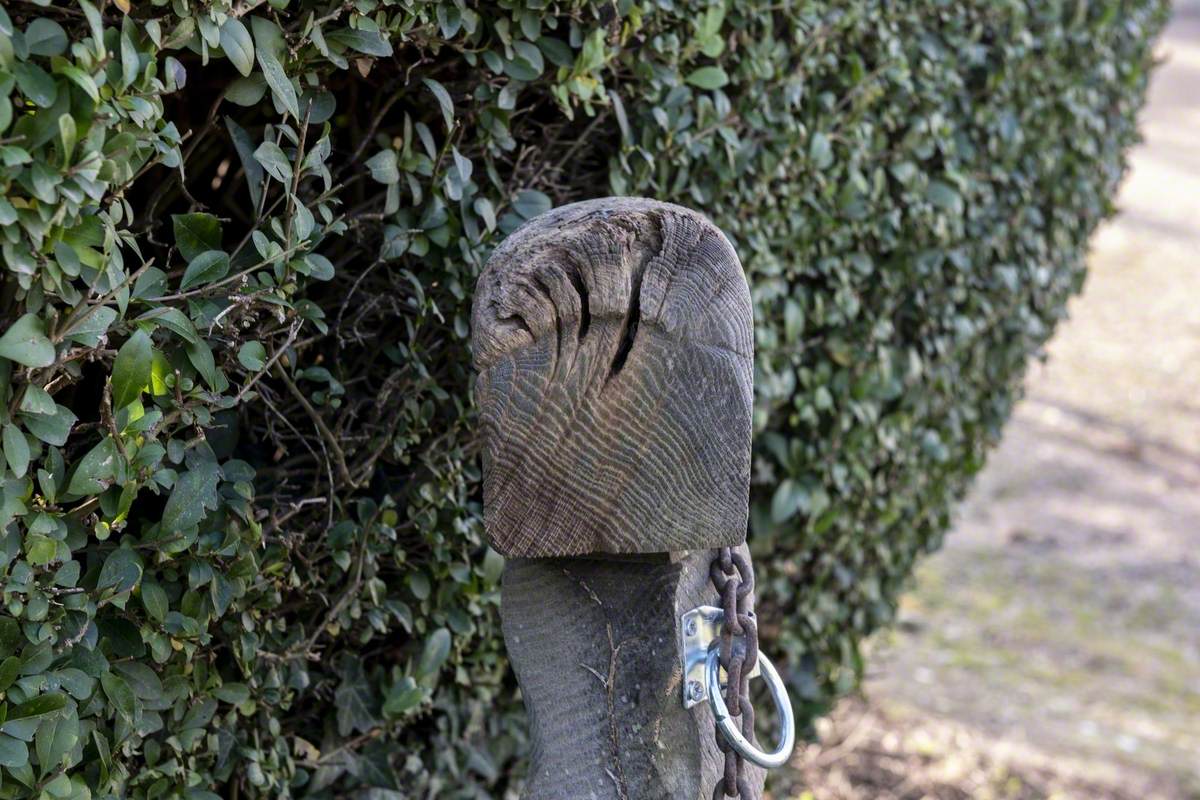 Posts on the Footpath to Pye's Mill with Dropped Shopping