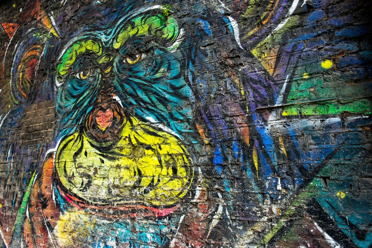 Colourful Monkey