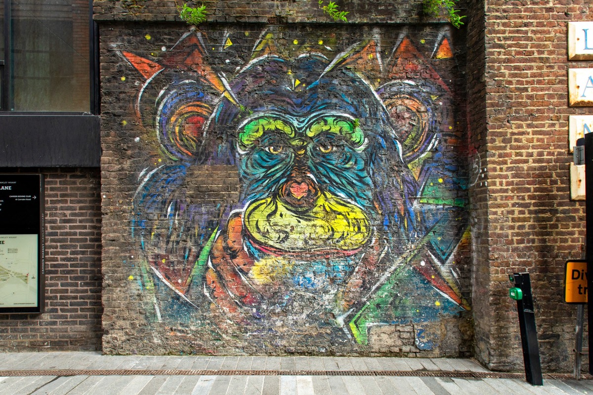 Colourful Monkey