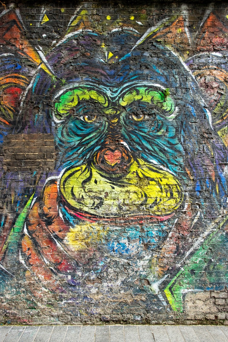 Colourful Monkey