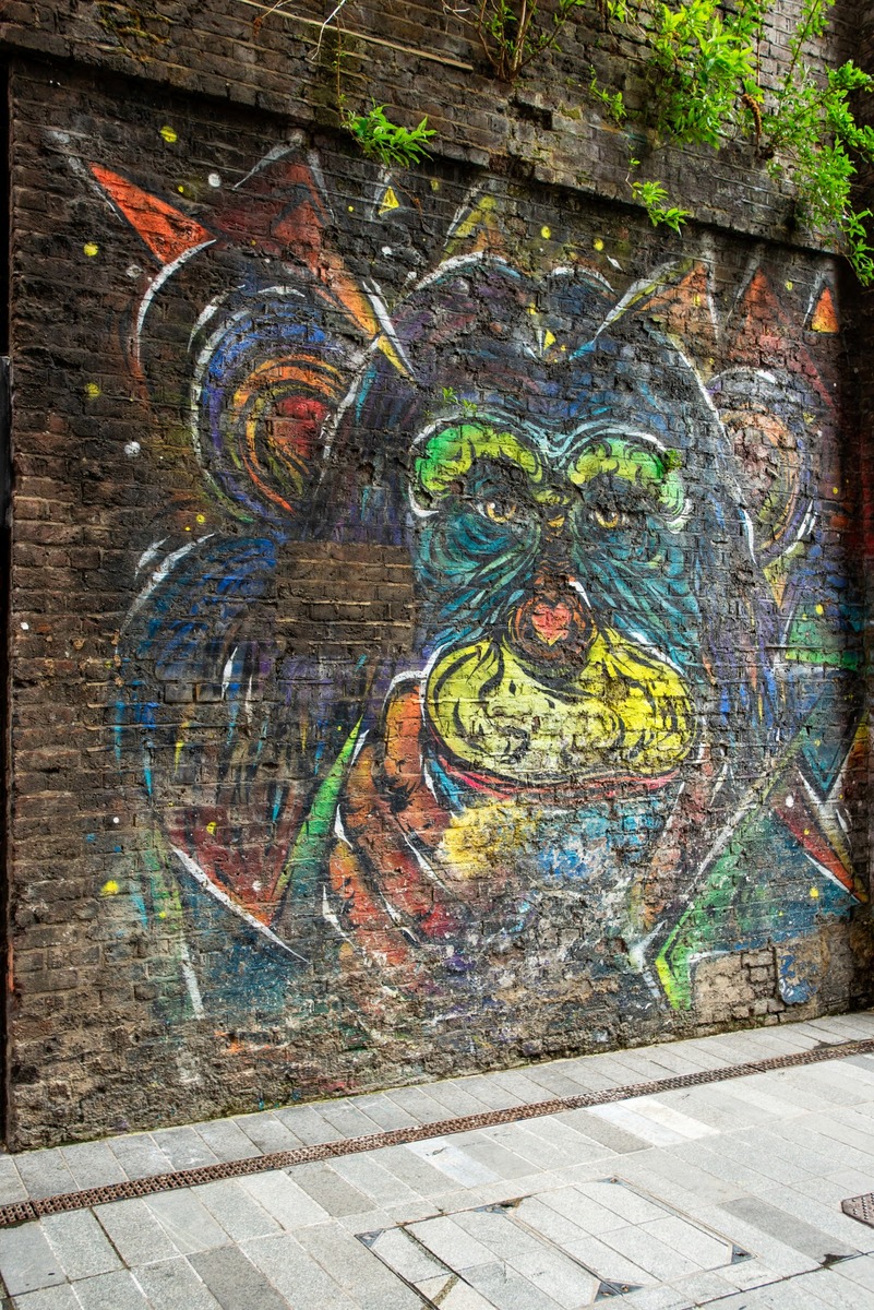 Colourful Monkey