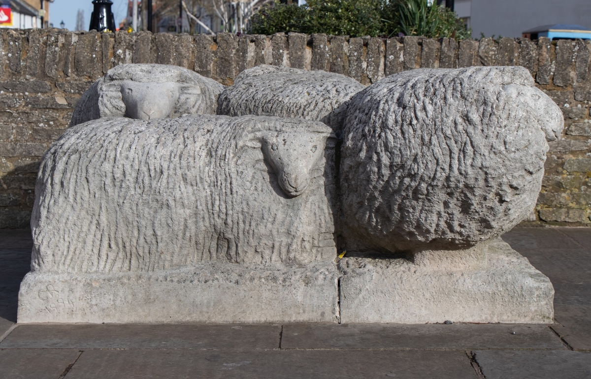Huddle of Sheep