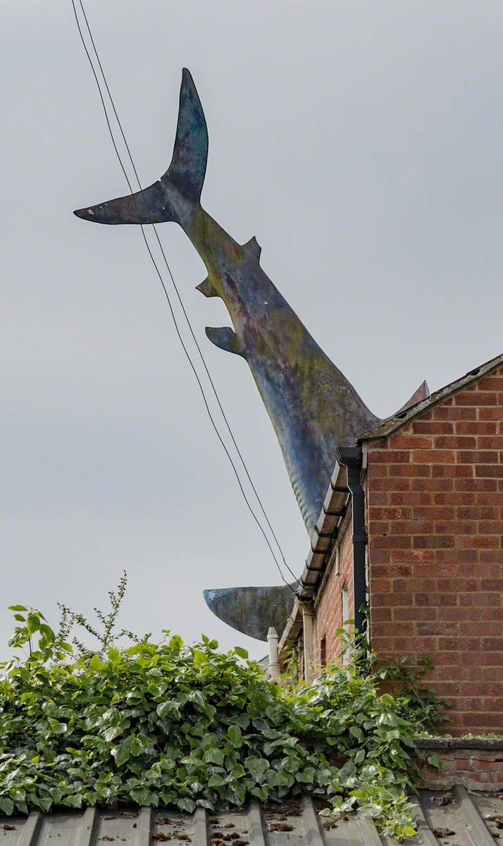 Untitled 1986 (The Headington Shark)