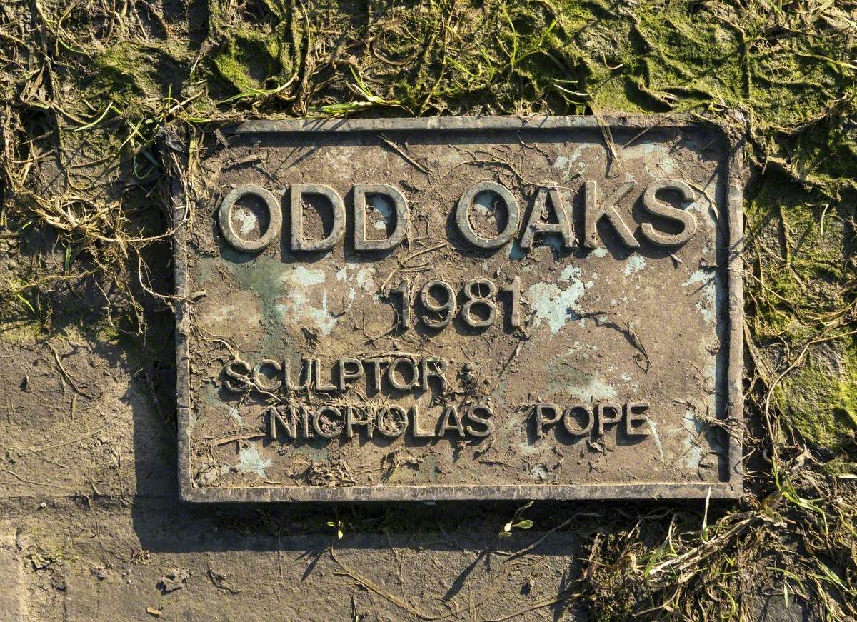 Odd Oaks