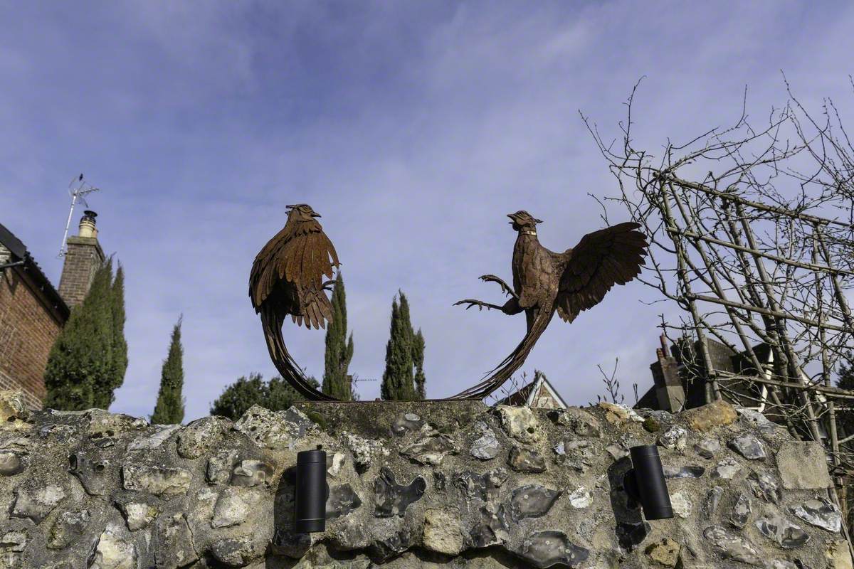 Fighting Pheasants