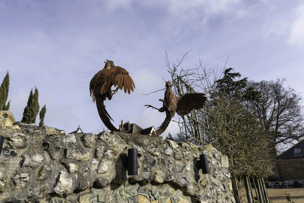 Fighting Pheasants