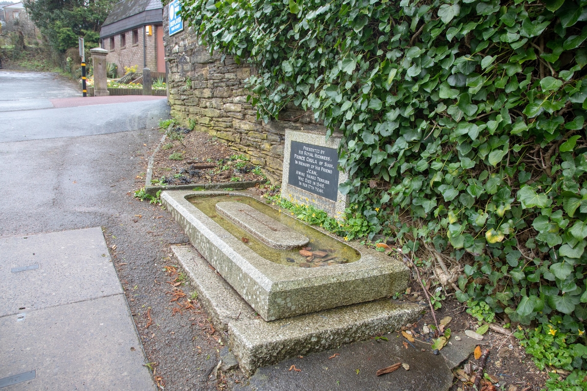 Dog Trough and Fountain