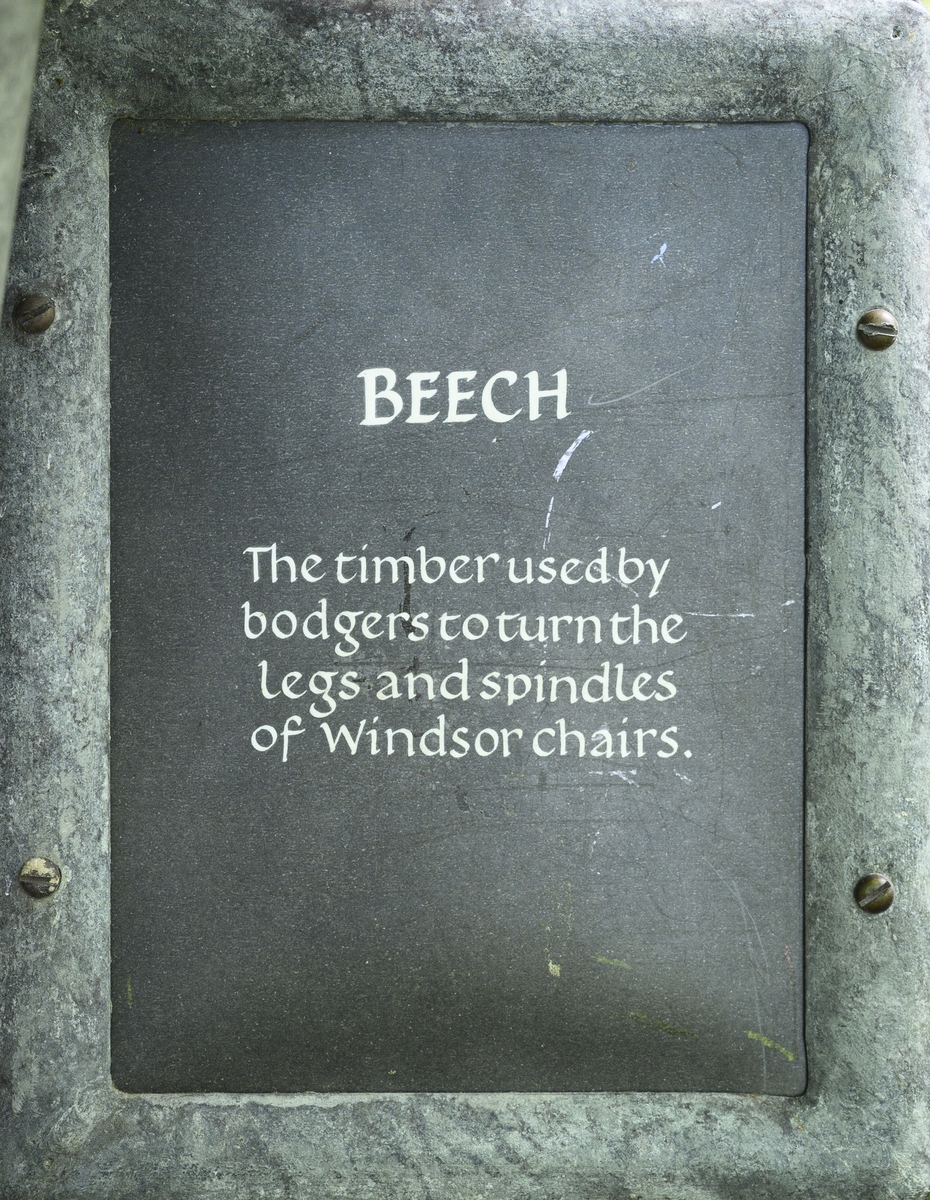 Tree Marker – Beech