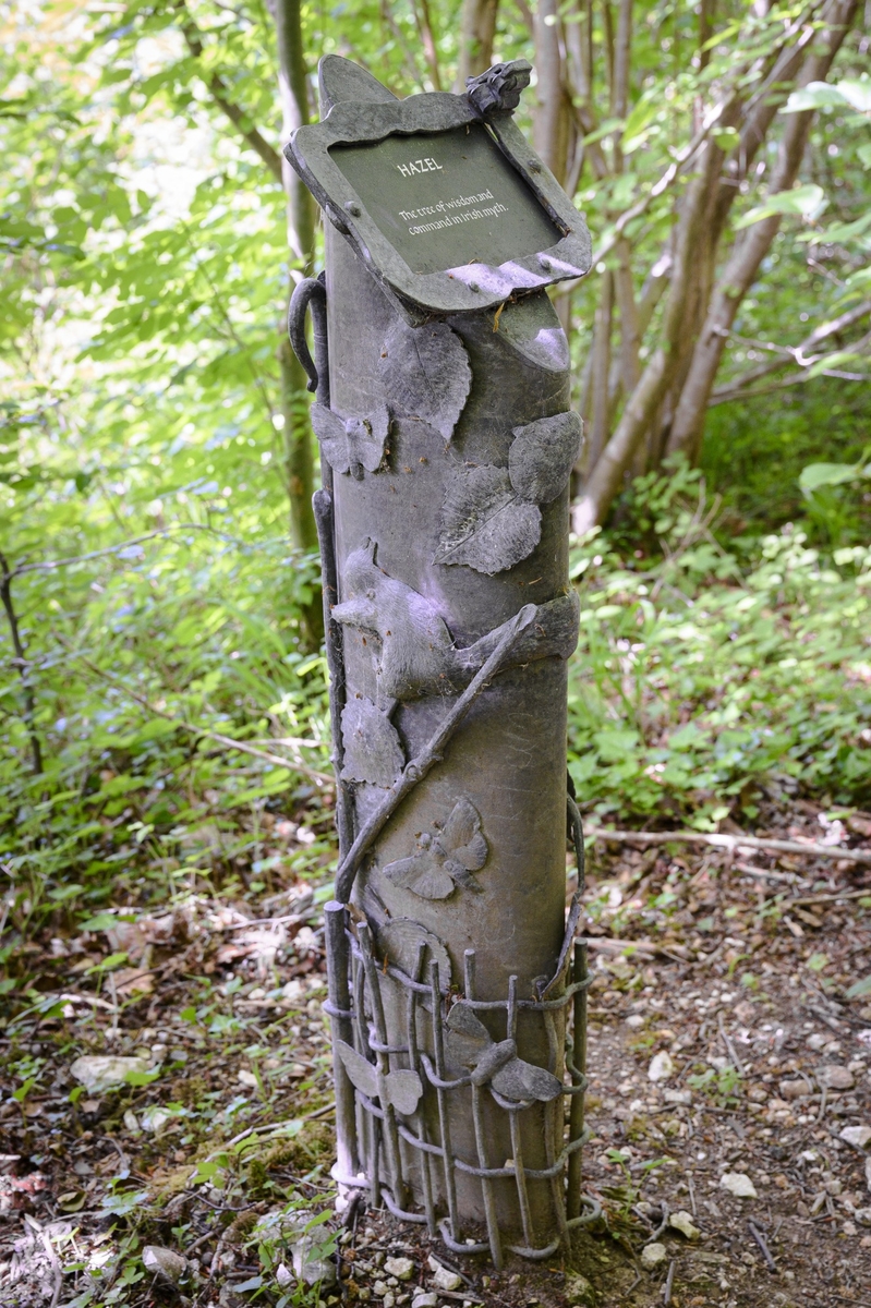 Tree Marker – Hazel