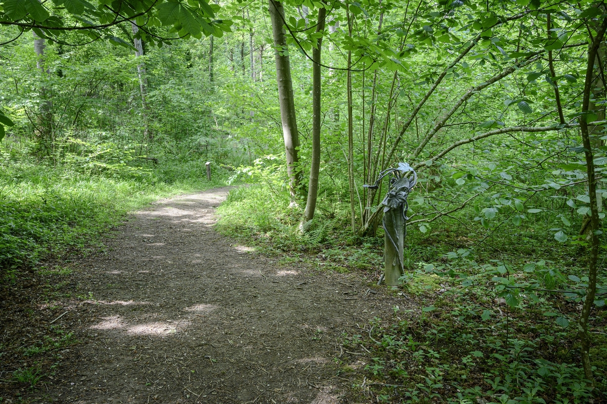 Tree Marker – Horse Chestnut