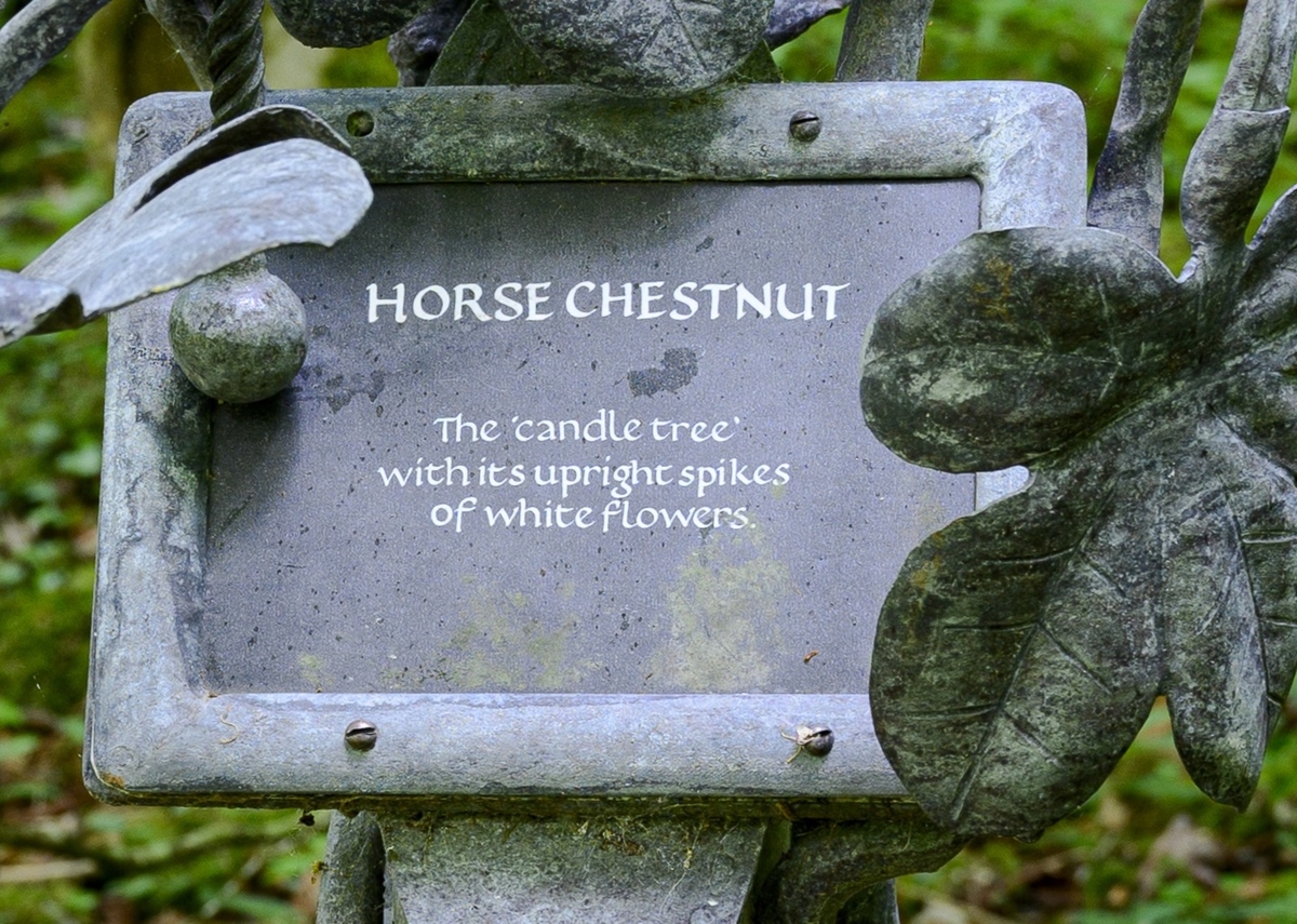 Tree Marker – Horse Chestnut