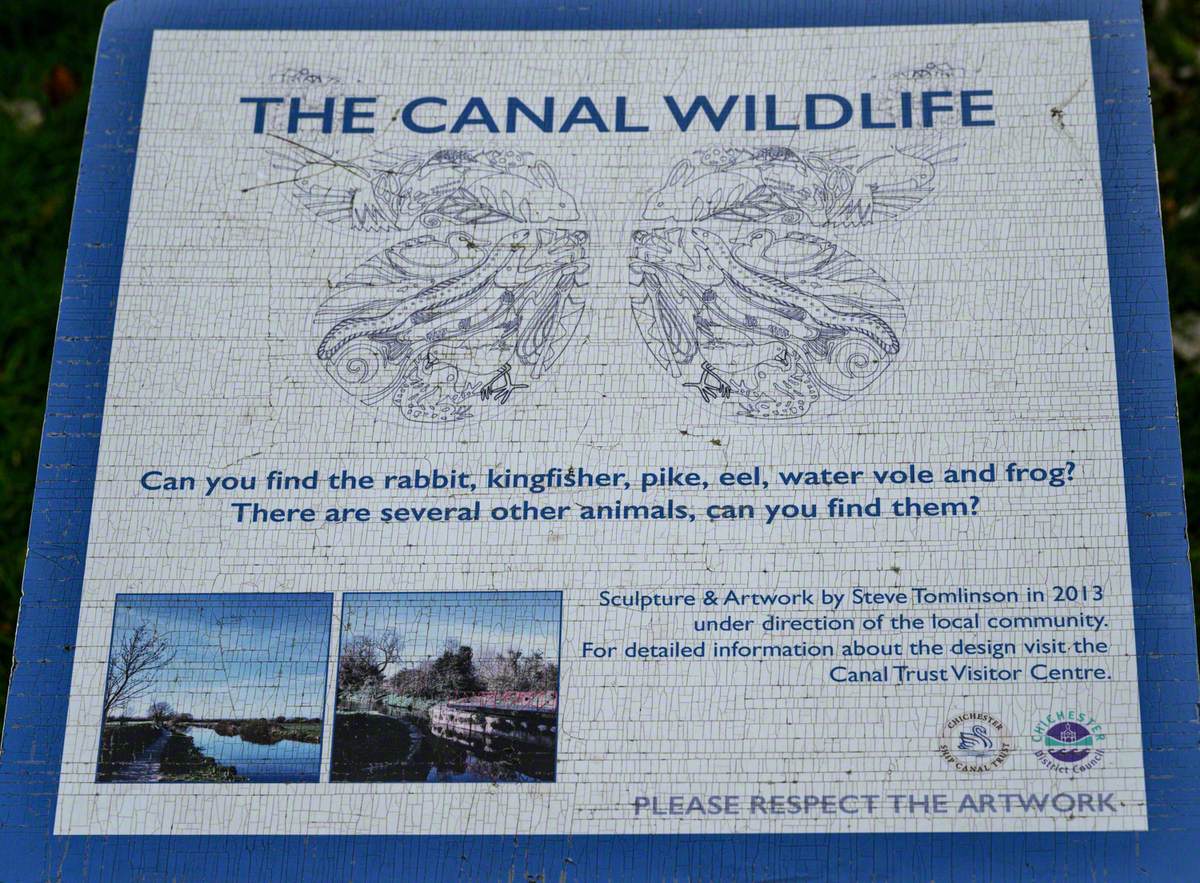 The Canal Wildlife