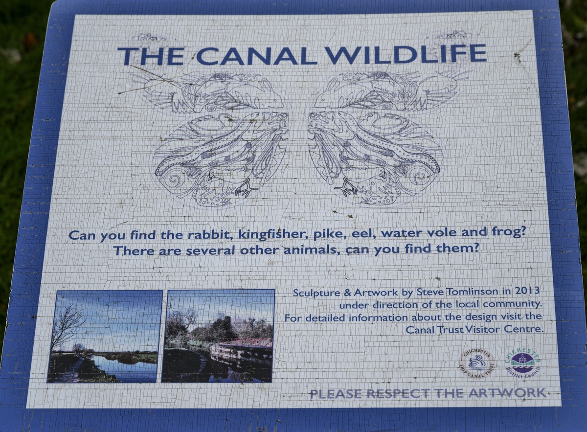 The Canal Wildlife