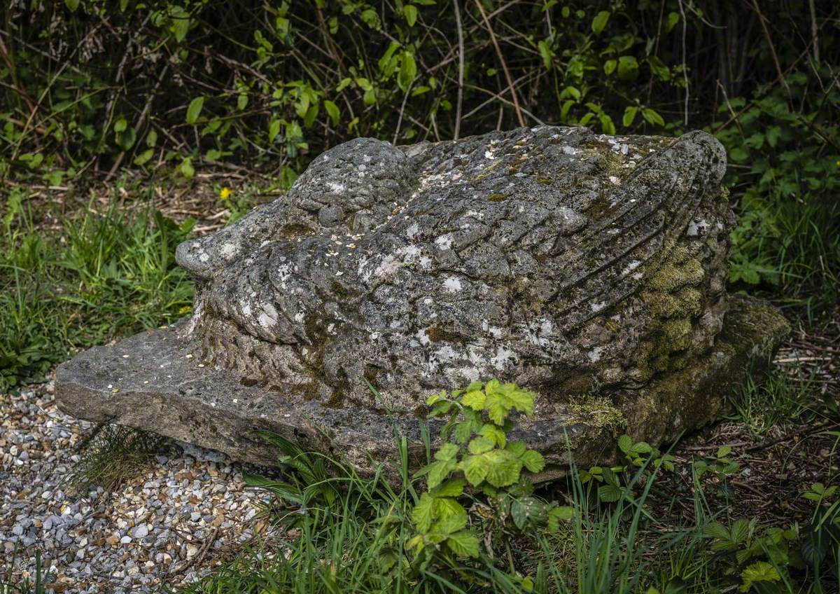 Broody Duck