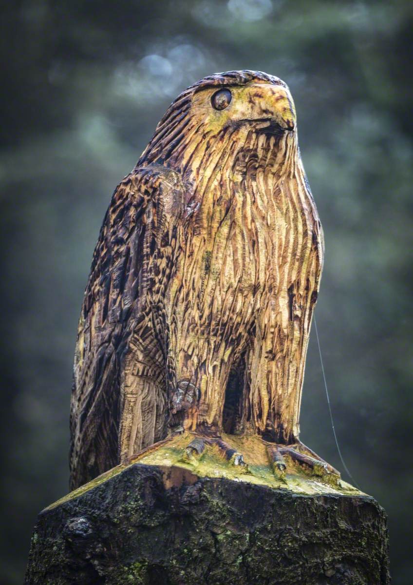 Hen Harrier