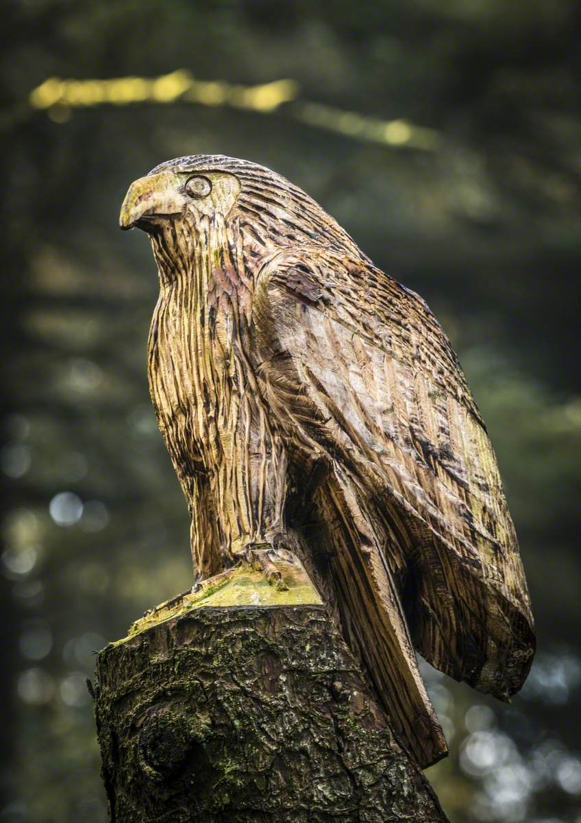 Hen Harrier