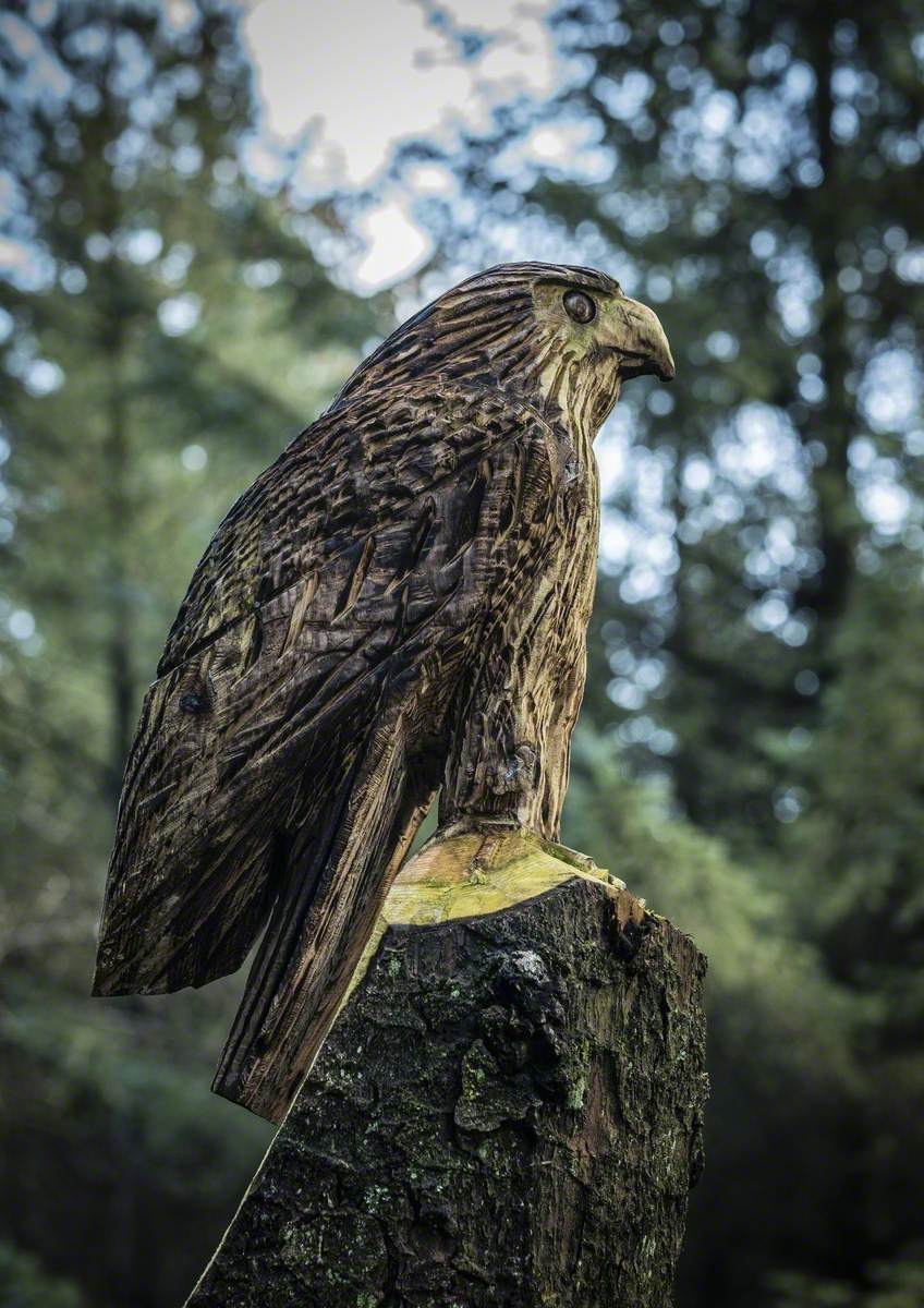 Hen Harrier