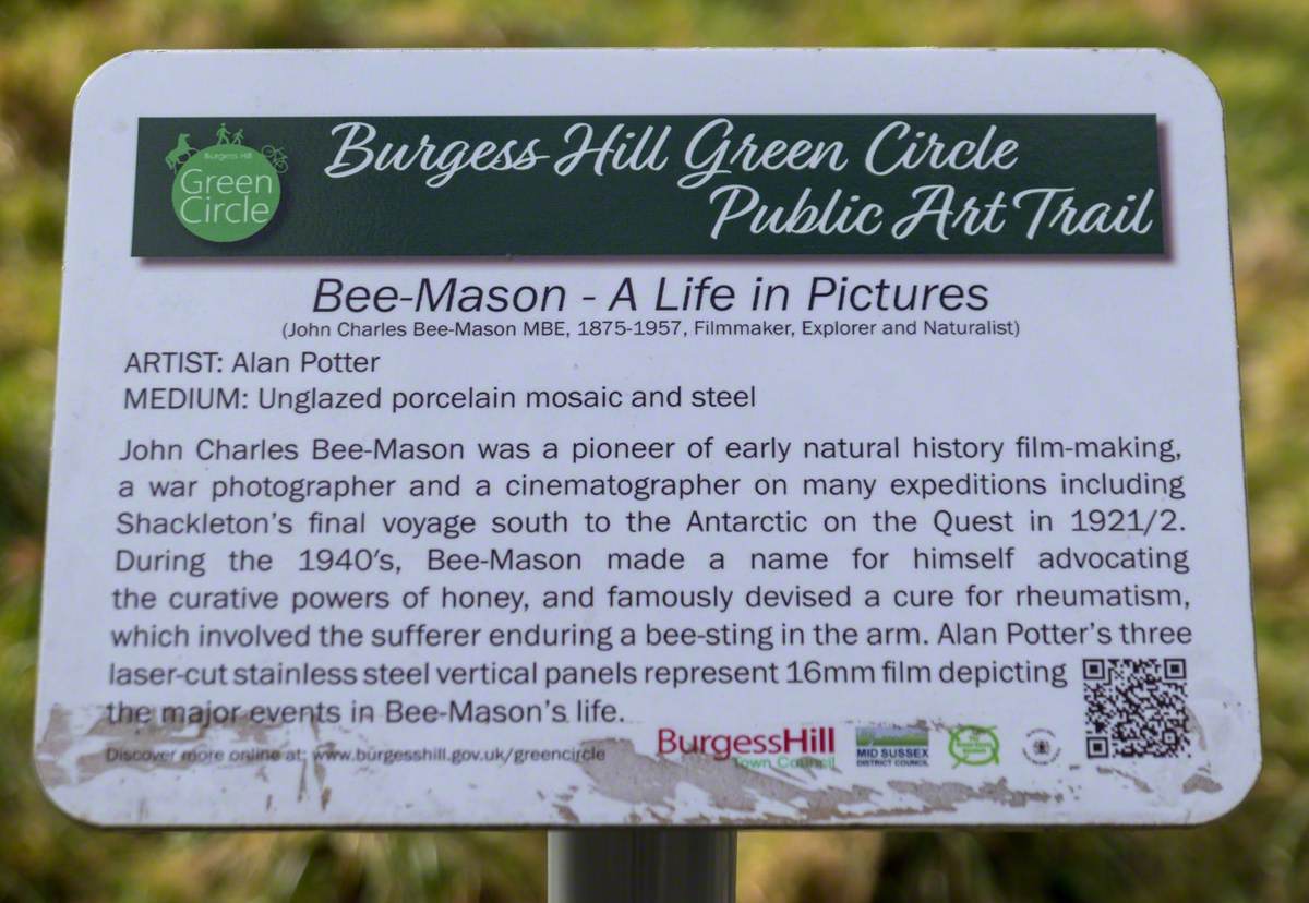 Bee-Mason: A Life in Pictures