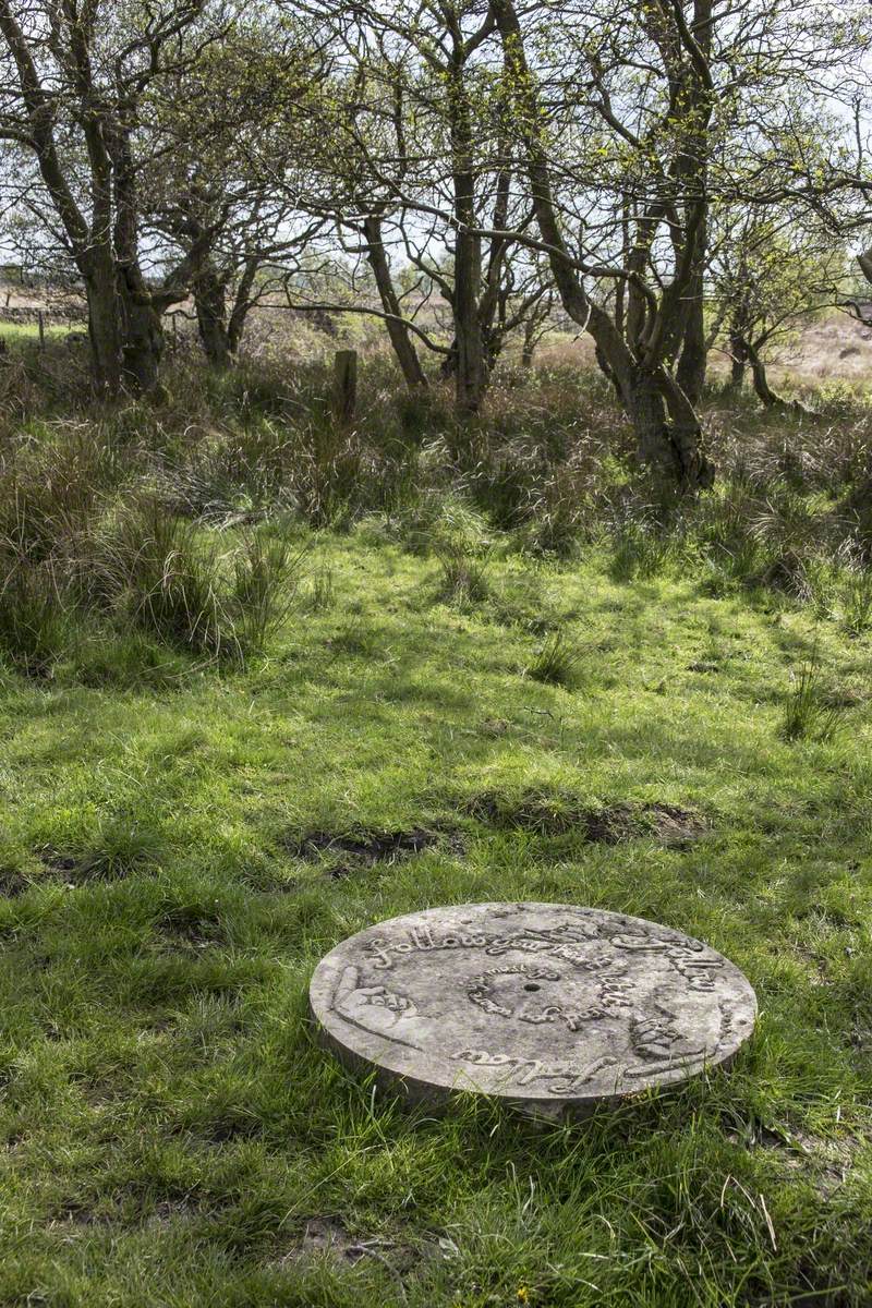 Companion Stones, Shillito Wood