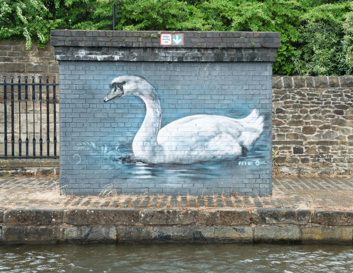 Kingfisher and Swan