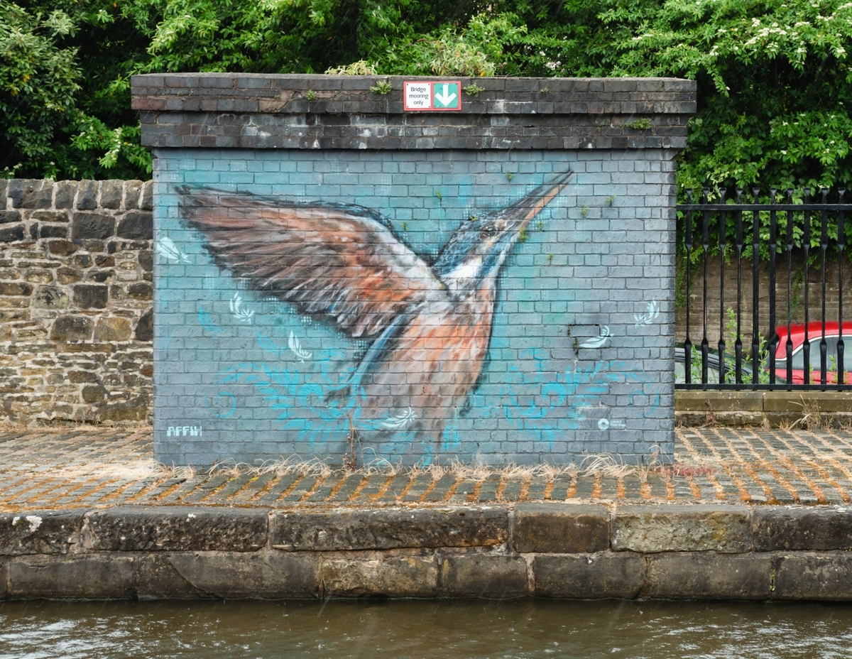 Kingfisher and Swan