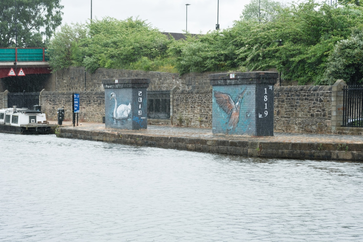 Kingfisher and Swan