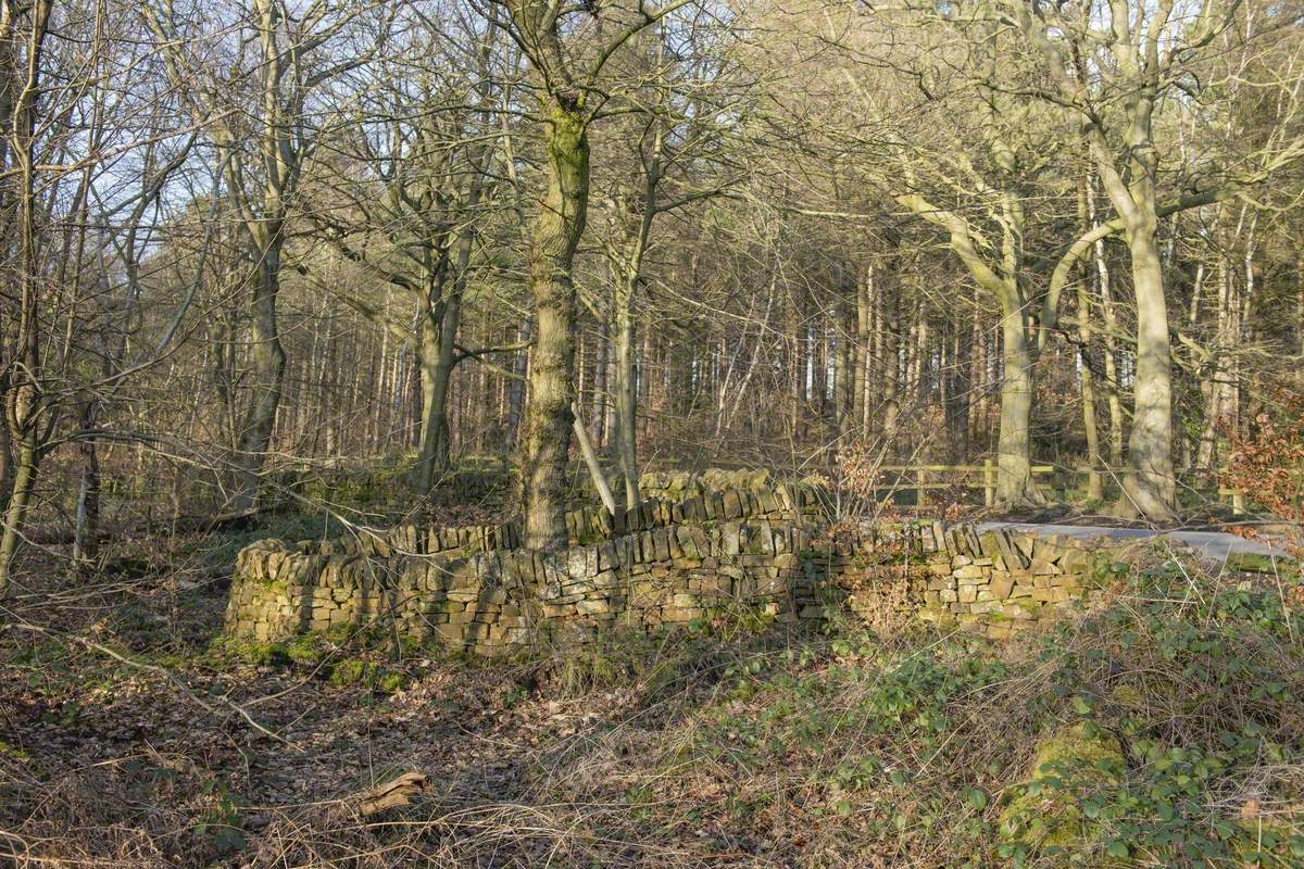 Dry-Stone Wall