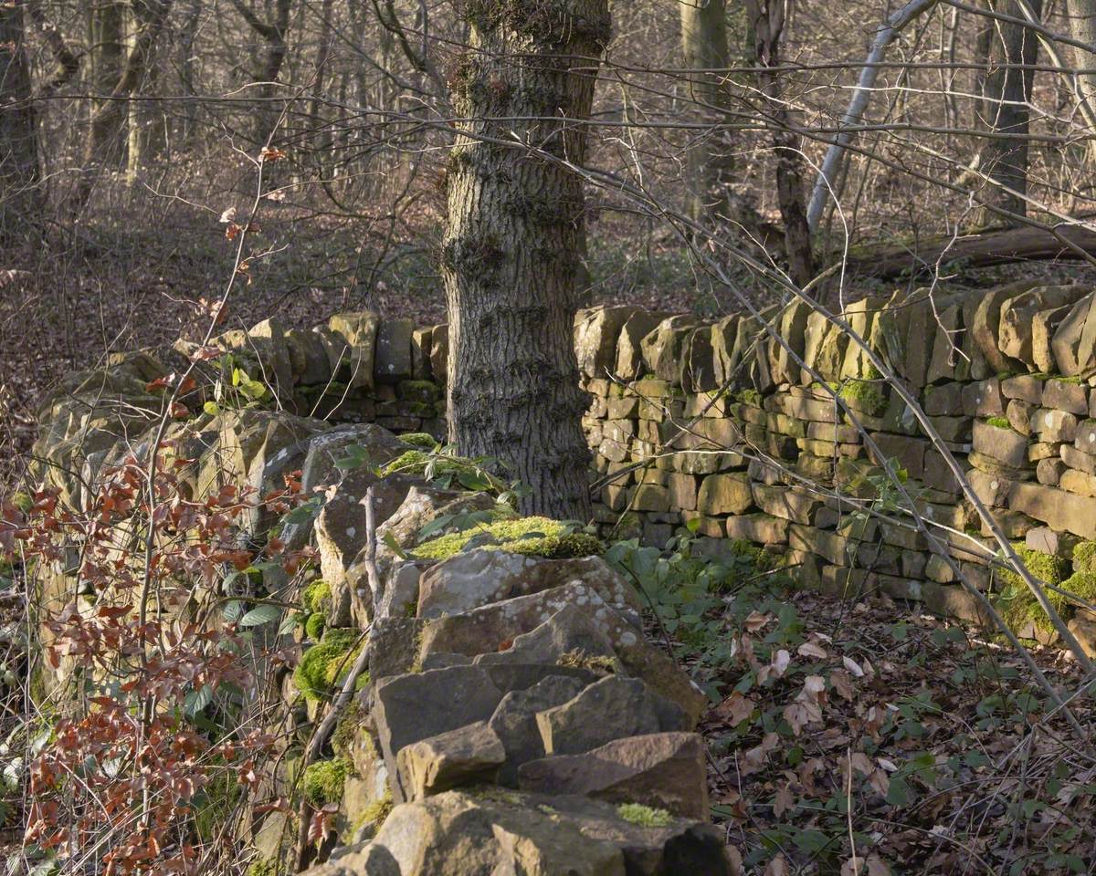 Dry-Stone Wall