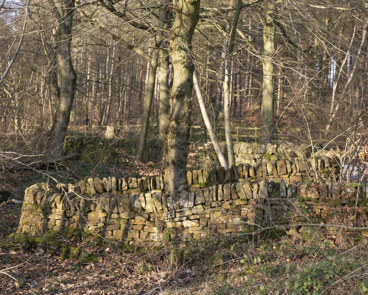 Dry-Stone Wall