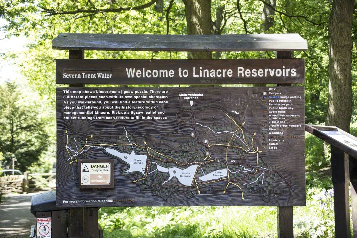 Linacre Owl