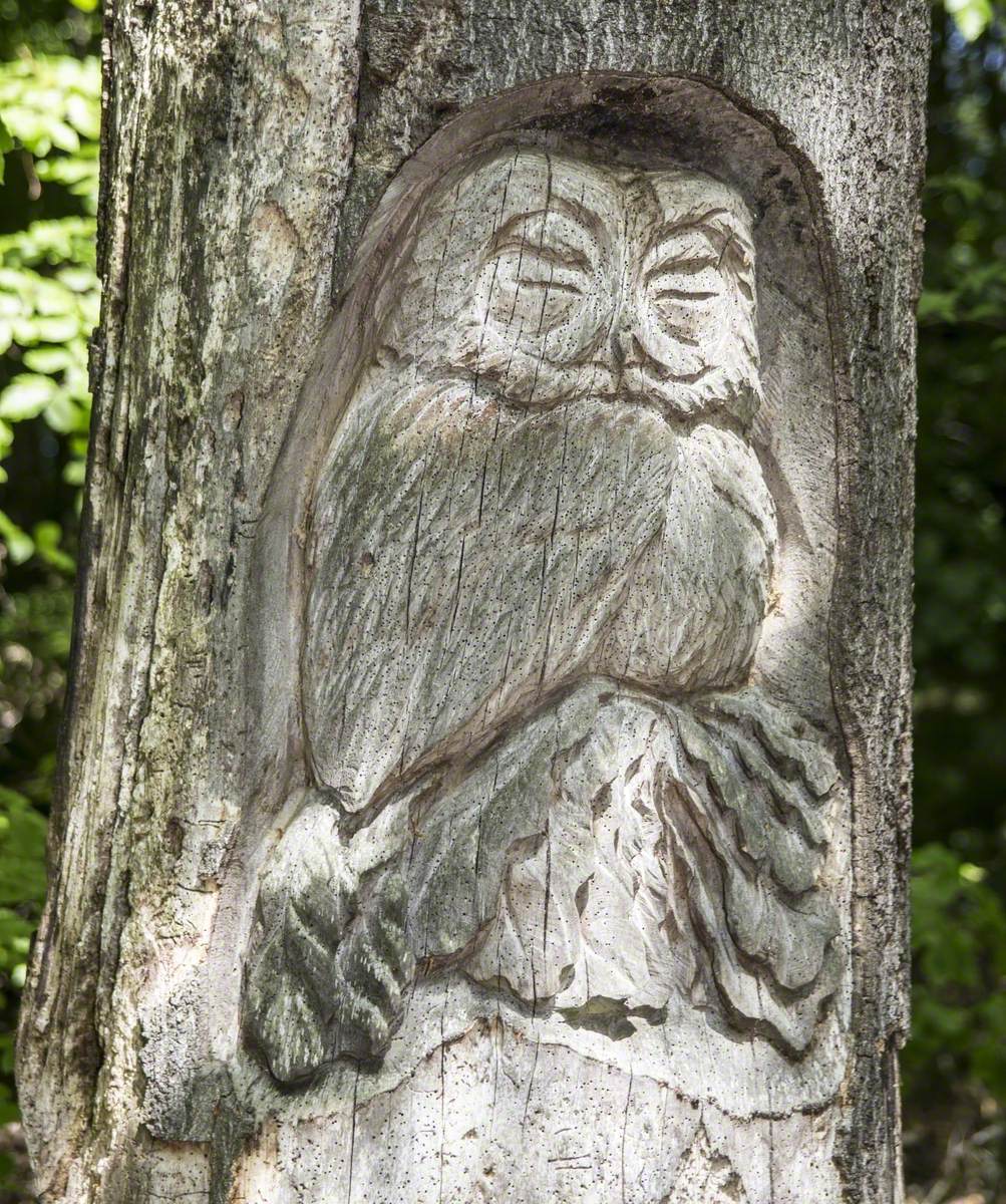 Linacre Owl