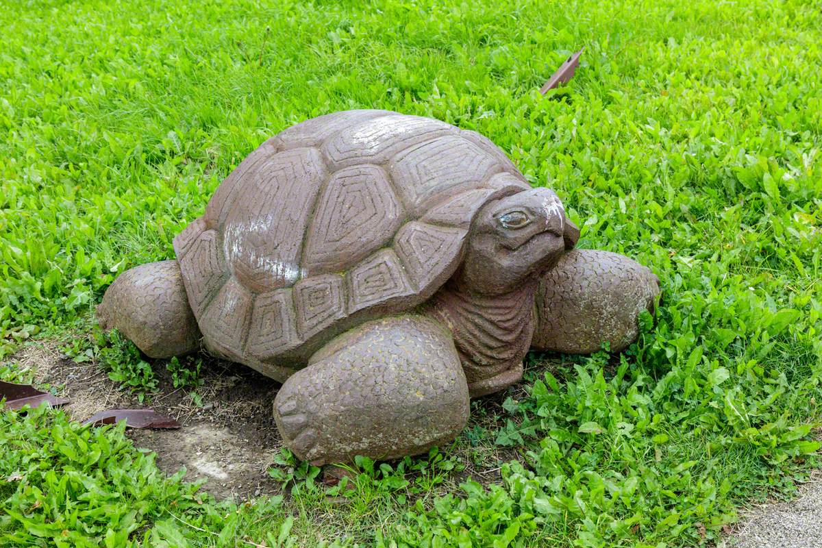 Tortoise | Art UK