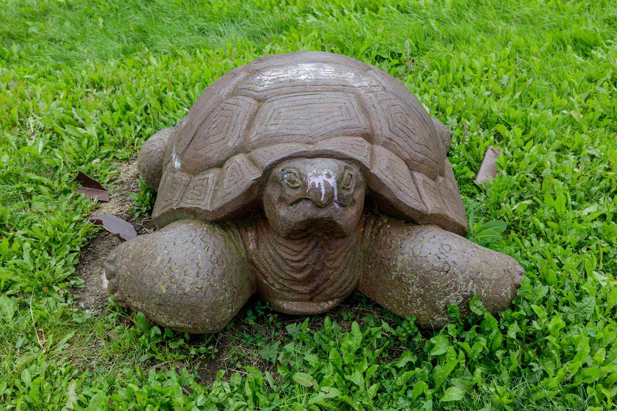 Tortoise | Art UK