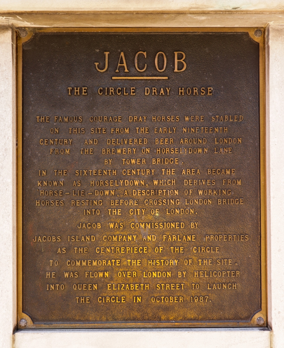'Jacob' – The Circle Dray Horse