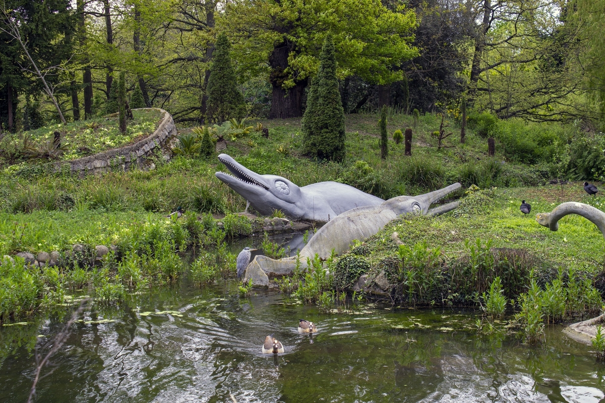 Ichthyosaur