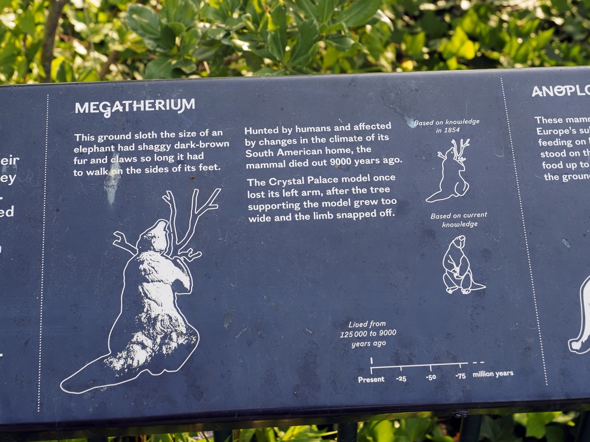 Megatherium