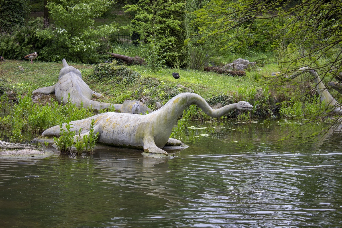 Plesiosaur