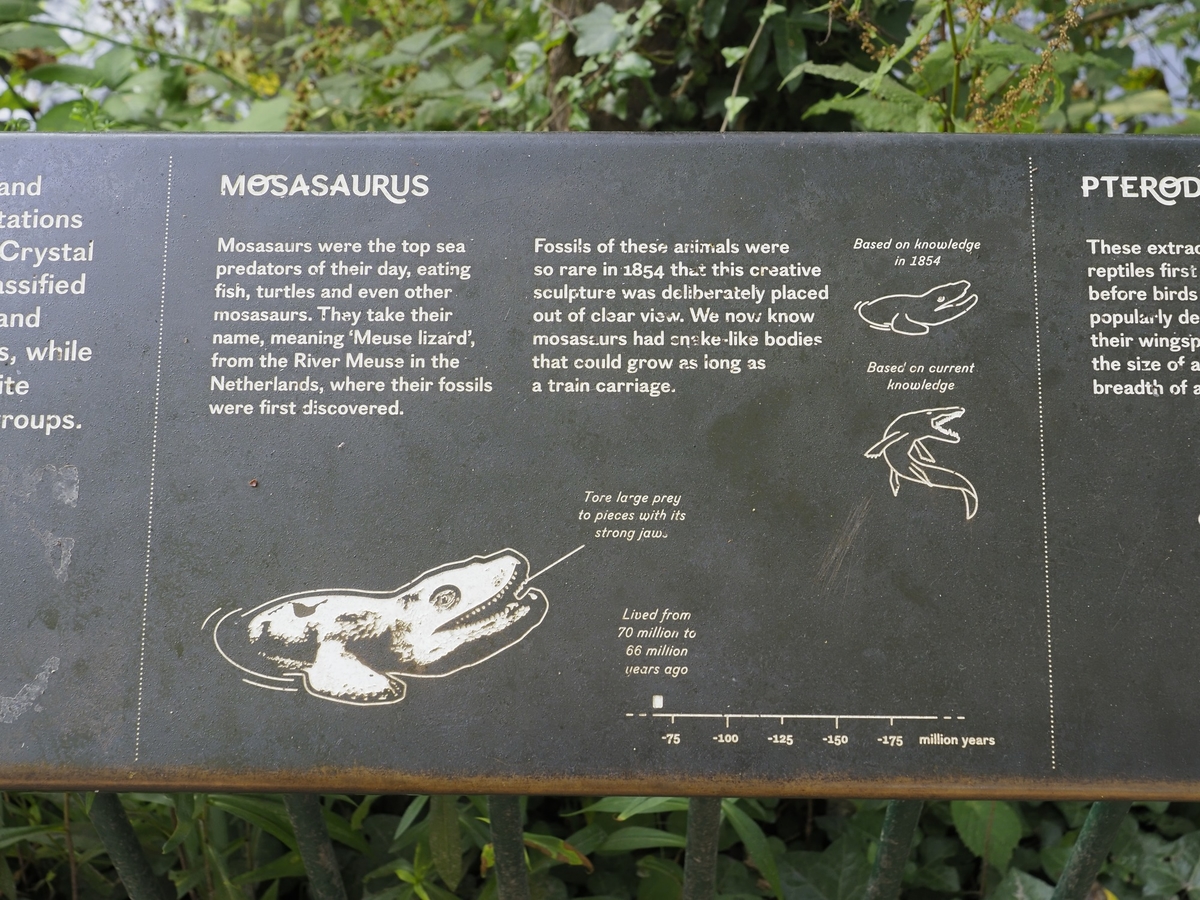 Mosasaurus