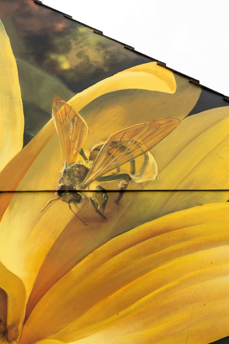 The Bird and the Bee