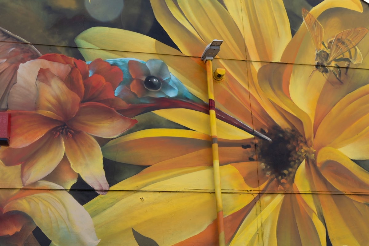 The Bird and the Bee