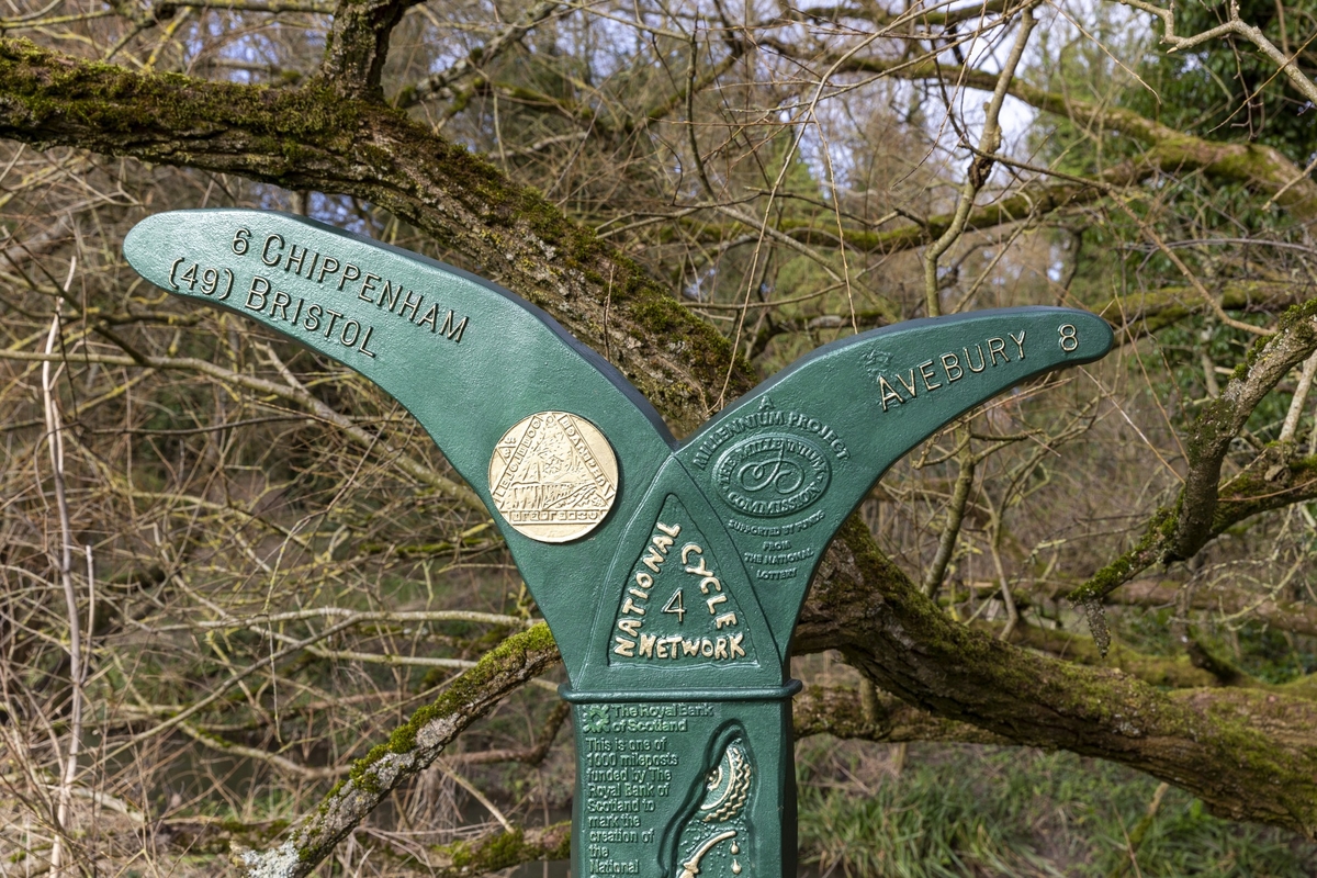 The Fossil Tree (National Cycle Route Marker)