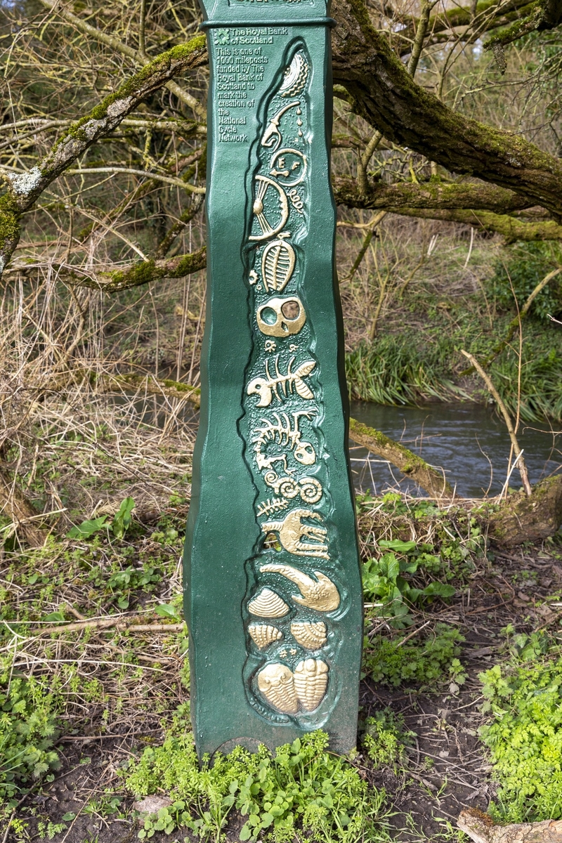 The Fossil Tree (National Cycle Route Marker)