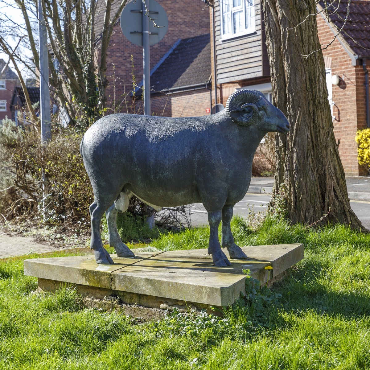 The Old Wiltshire Horn