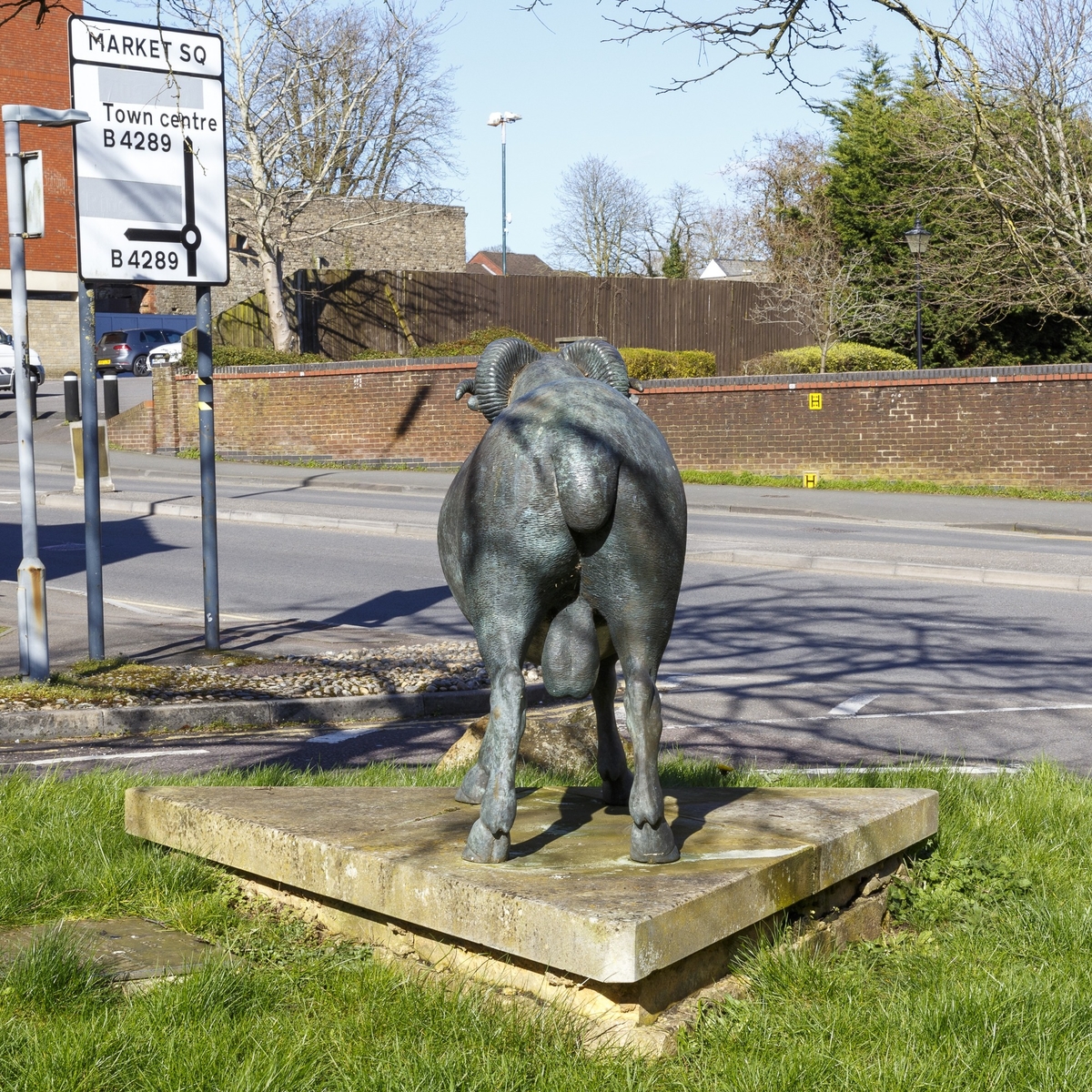 The Old Wiltshire Horn