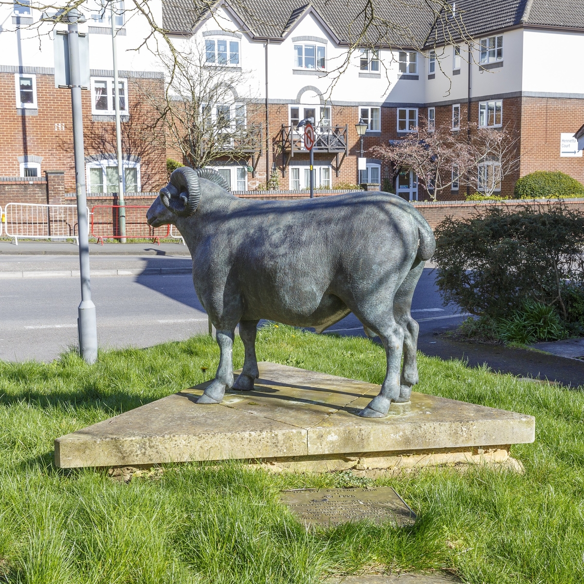 The Old Wiltshire Horn